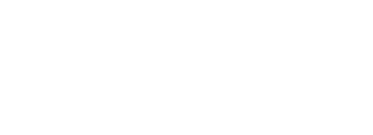 Prospectus plus logo white